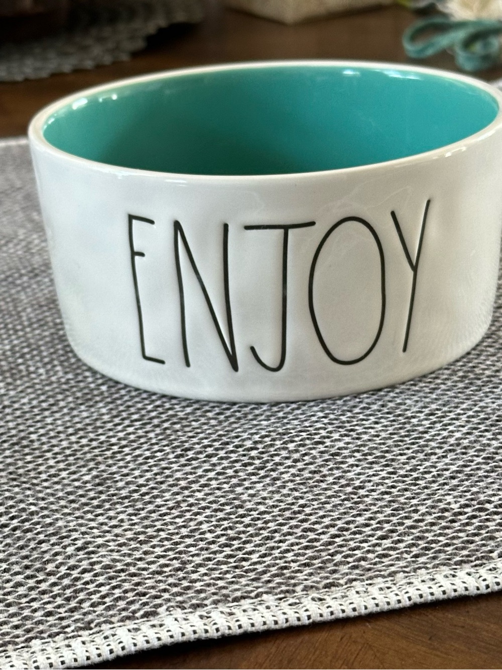 Rae Dunn Enjoy Ceramic Pet Bowl - White Exterior with Turquoise Interior